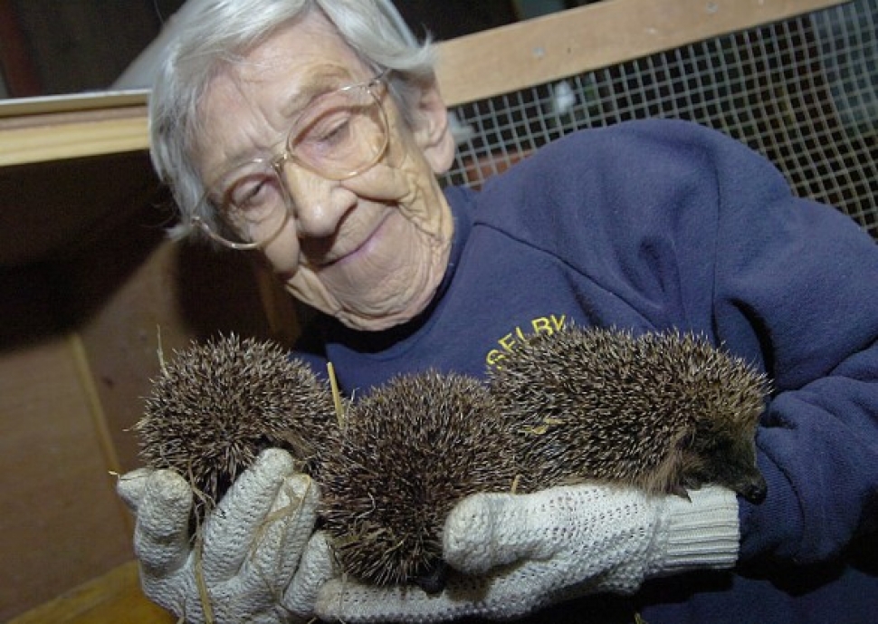 Joan's tireless work for her collection of needy animals earned her the Medal of the British Empire