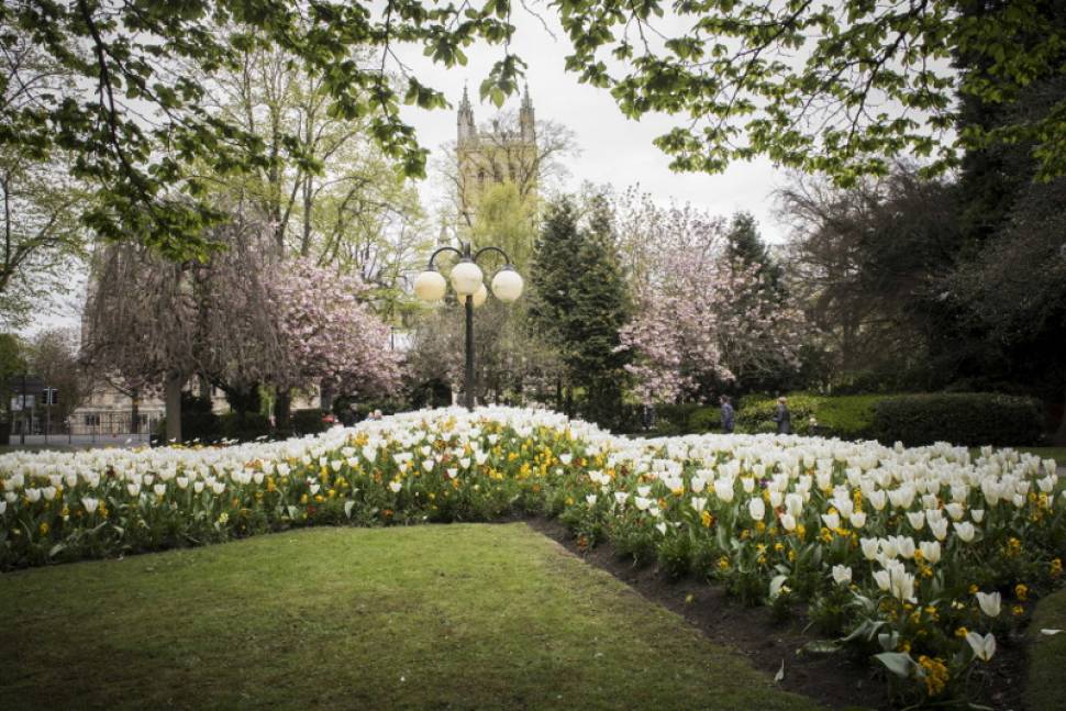 Council plans new parks byelaws